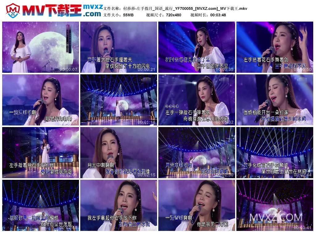 付莎莎-左手指月_国语_流行_YF700055